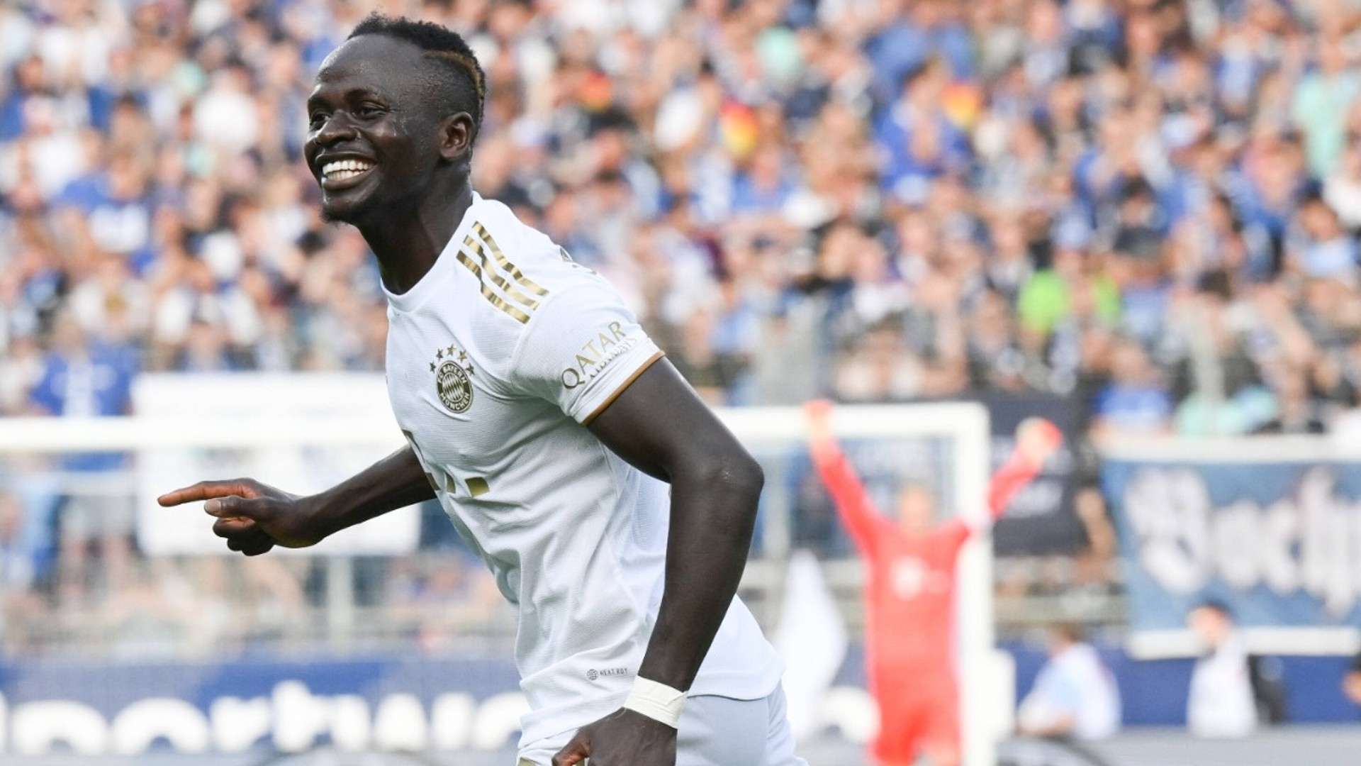 己的进攻手 己的进攻手